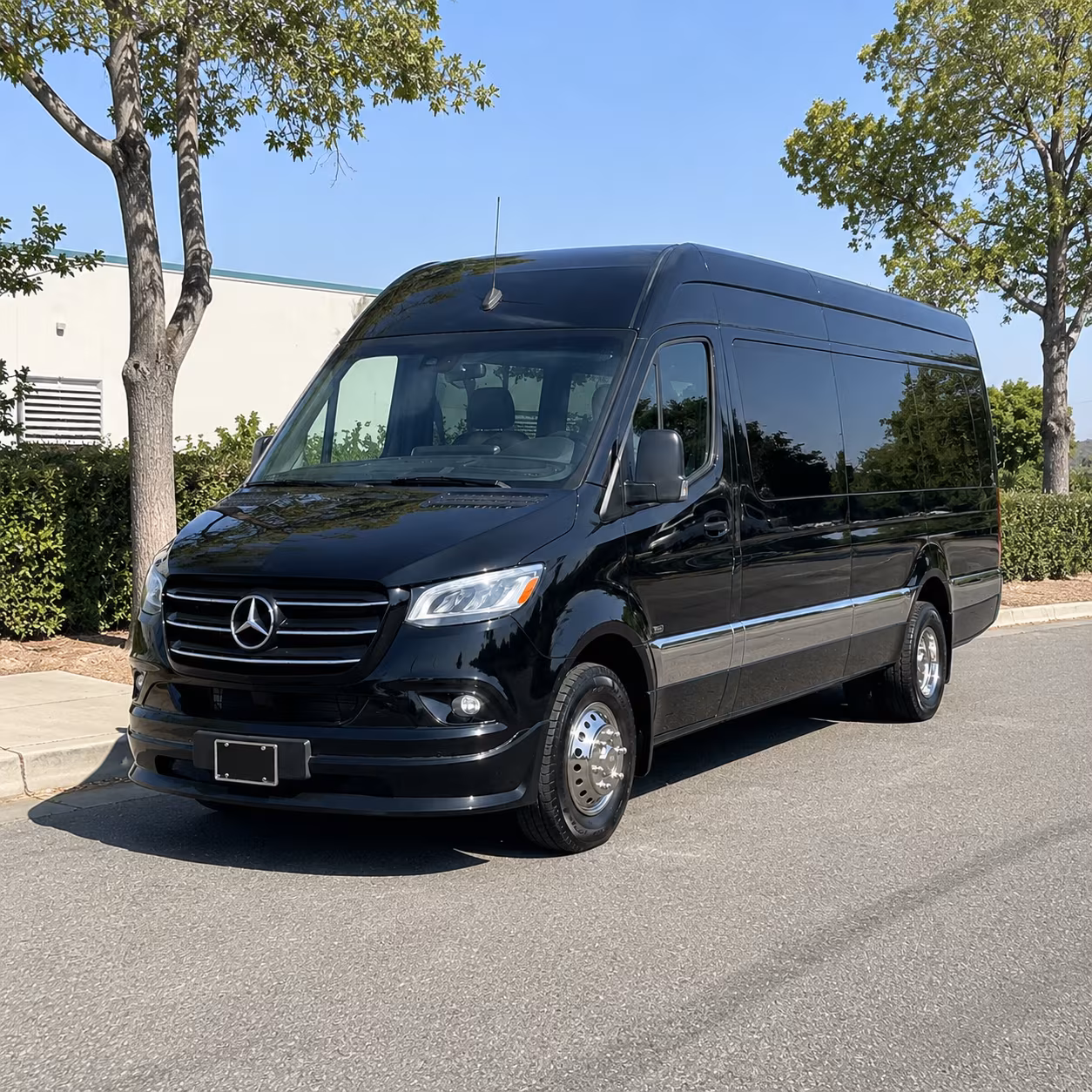allen sprinter van with driver